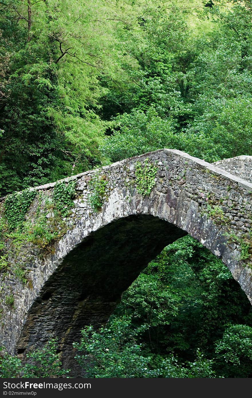 Medieval Bridge