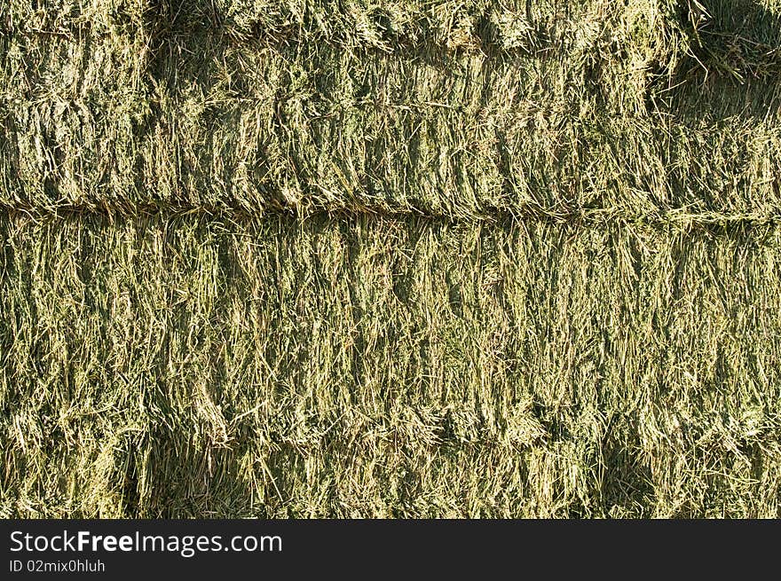 Side view of square bales of fresh alfalfa hay. Side view of square bales of fresh alfalfa hay