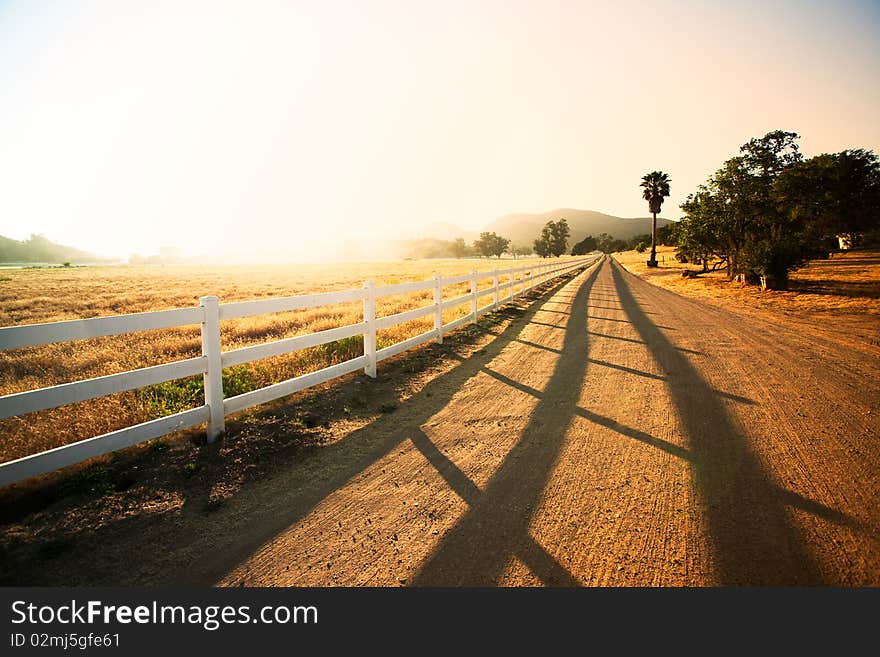 Landscape picture of a tree and a path near LA. Landscape picture of a tree and a path near LA