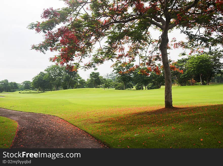 Golf cart path in a golf course in the Philippines. Golf cart path in a golf course in the Philippines