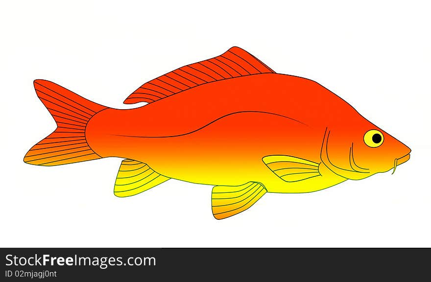 Bright and colorful beautiful carp