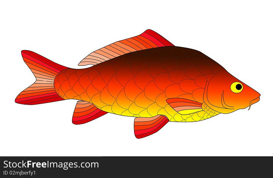 Bright and colorful beautiful carp