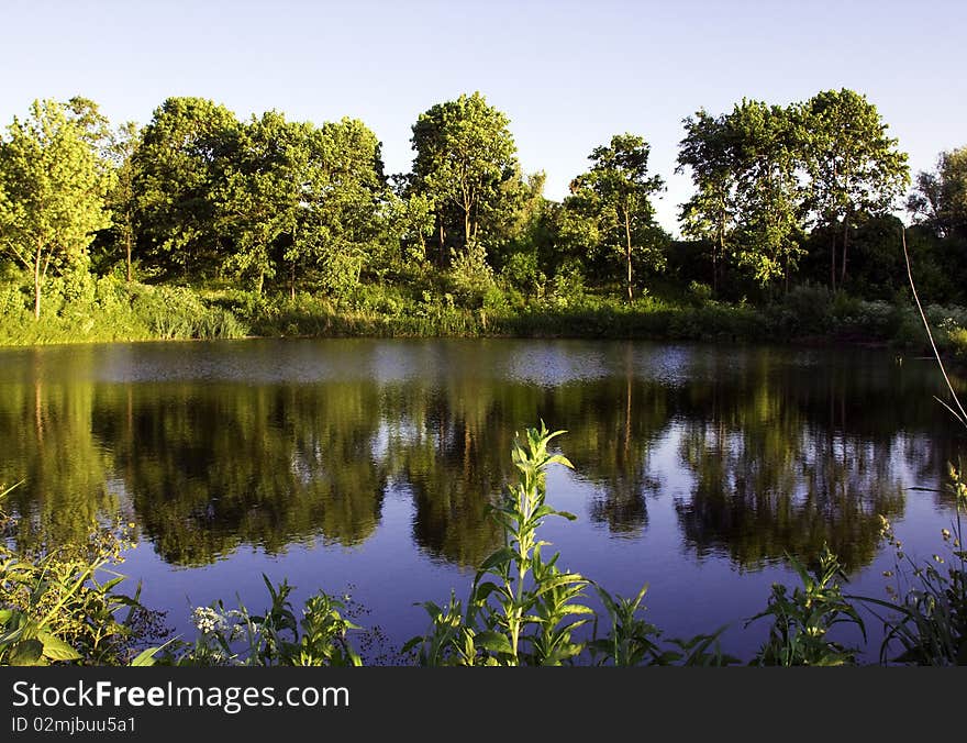 Small dark lake located about various trees. Small dark lake located about various trees