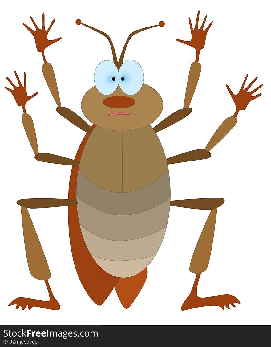 Cockroach