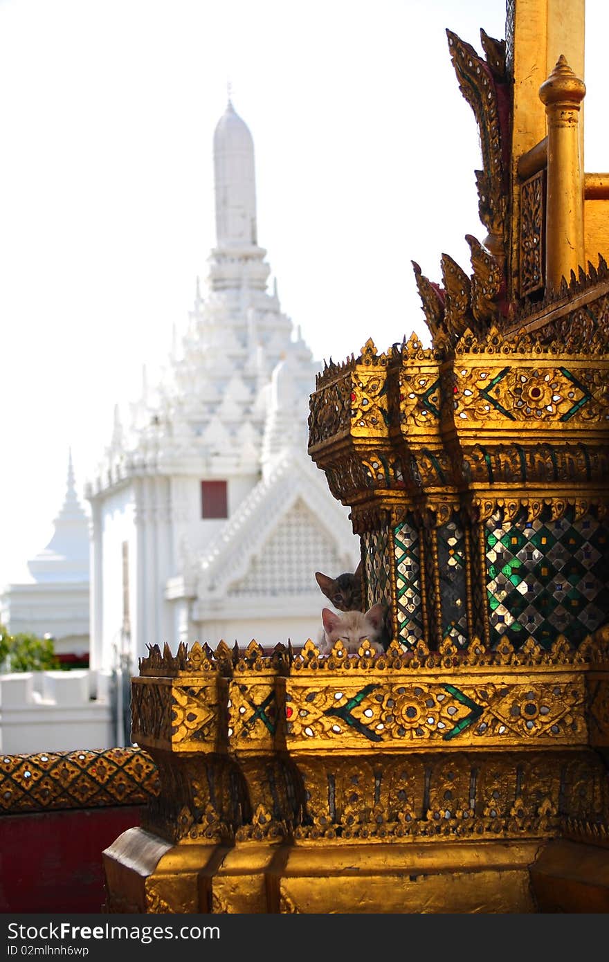 Two kittens in temple. Grand Palace - Thailand. Two kittens in temple. Grand Palace - Thailand