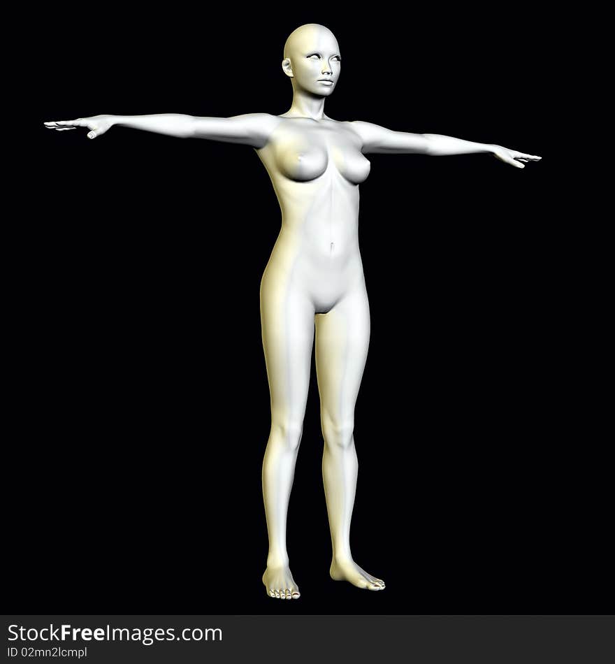 Anatomy Female