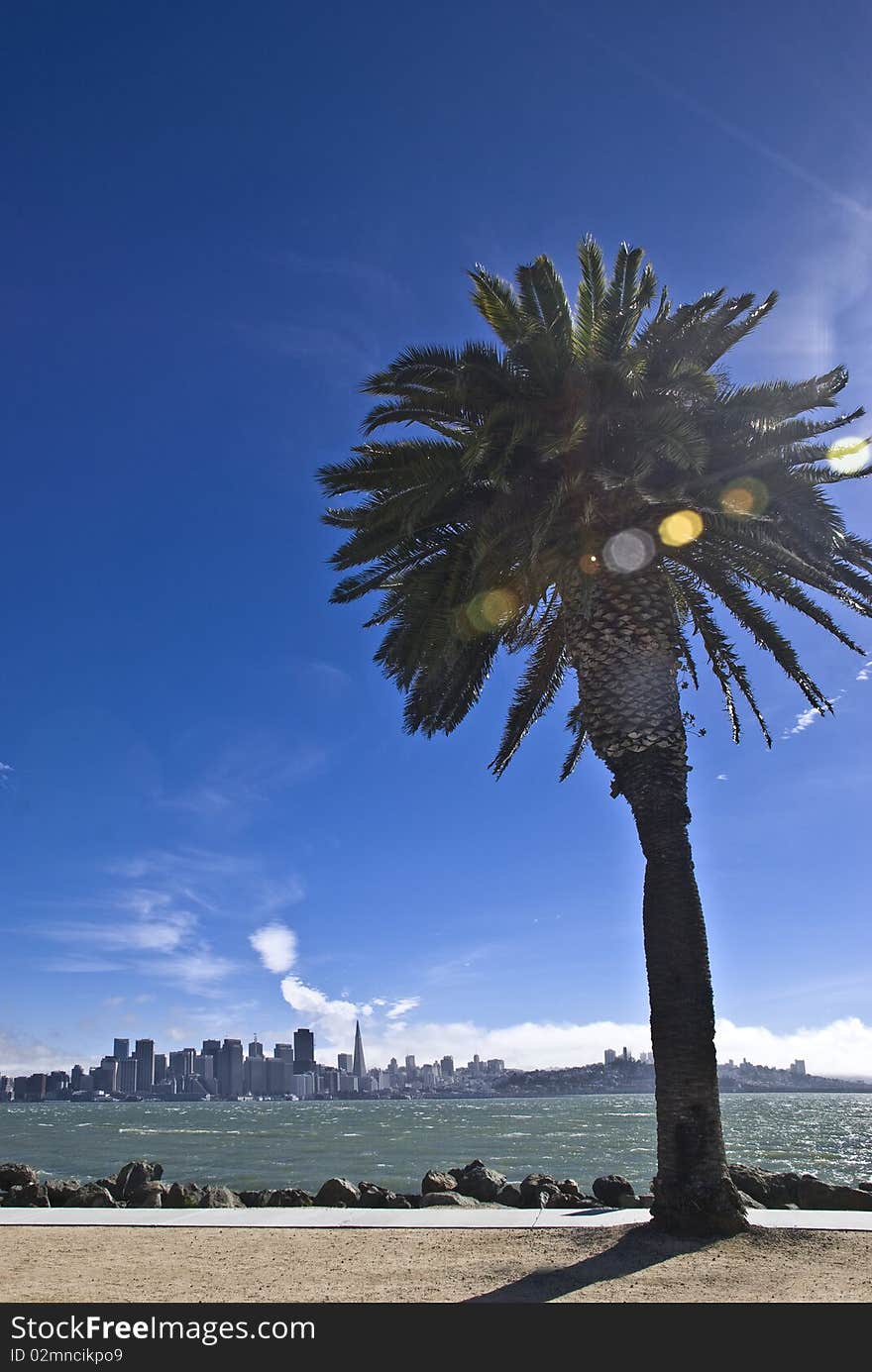 San Francisco from Treasure Island