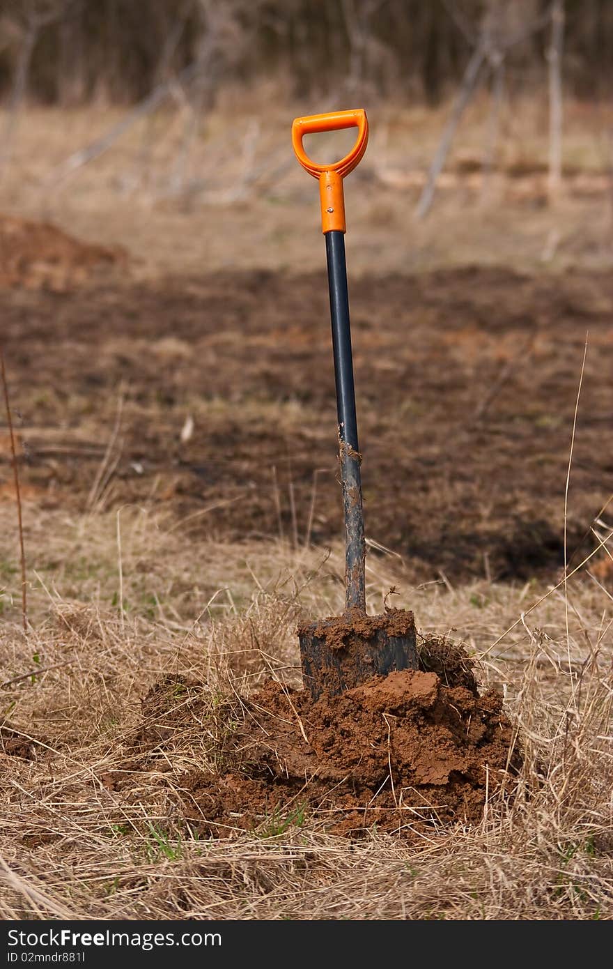 Shovel in dirt