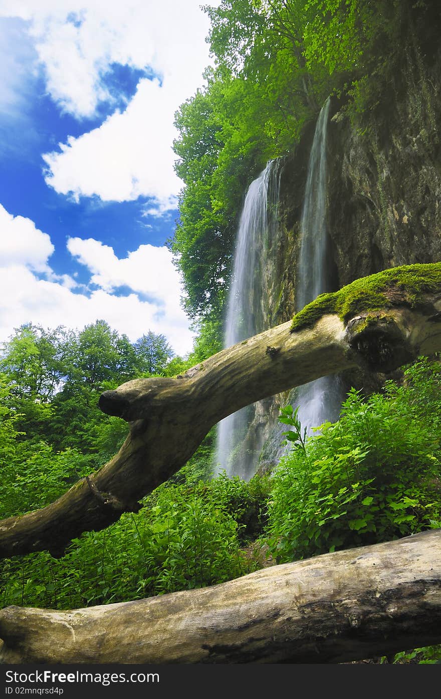 Waterfall in a dense forest