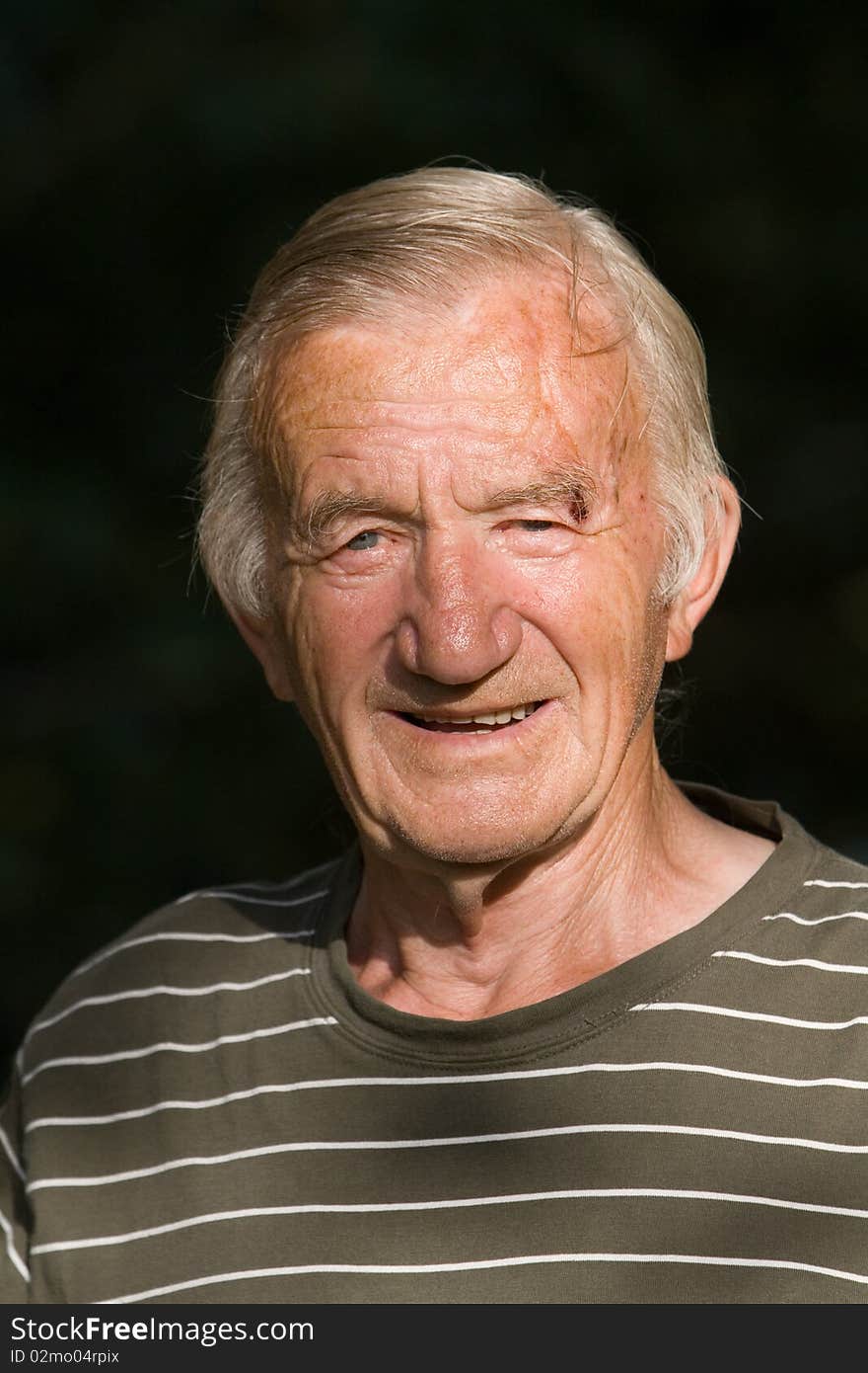 Portrait of the grey-haired elderly man in the summer in village on the nature. Portrait of the grey-haired elderly man in the summer in village on the nature