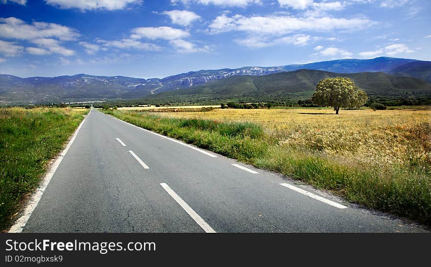 Landscape with road and fields. Landscape with road and fields