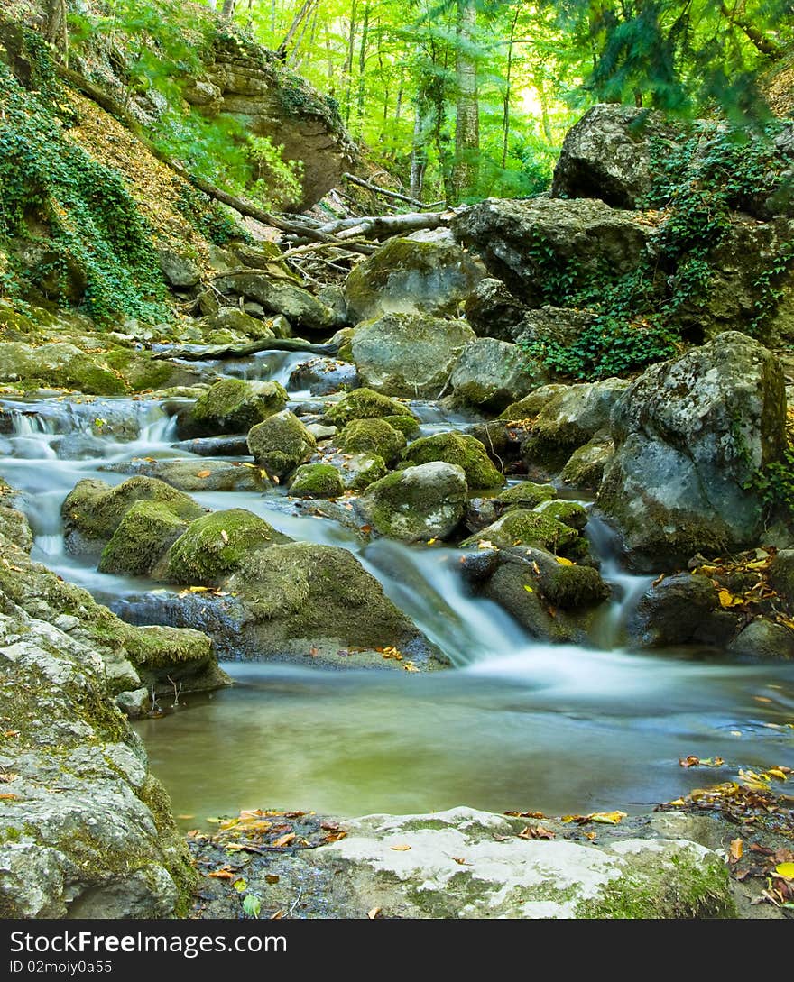 The beautiful running water in forest river