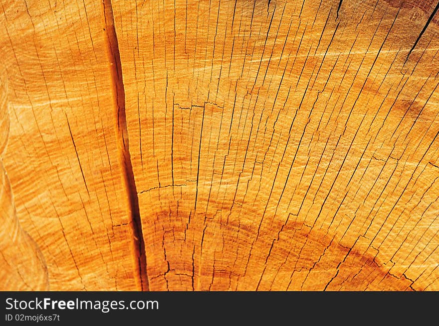 Old wooden texture