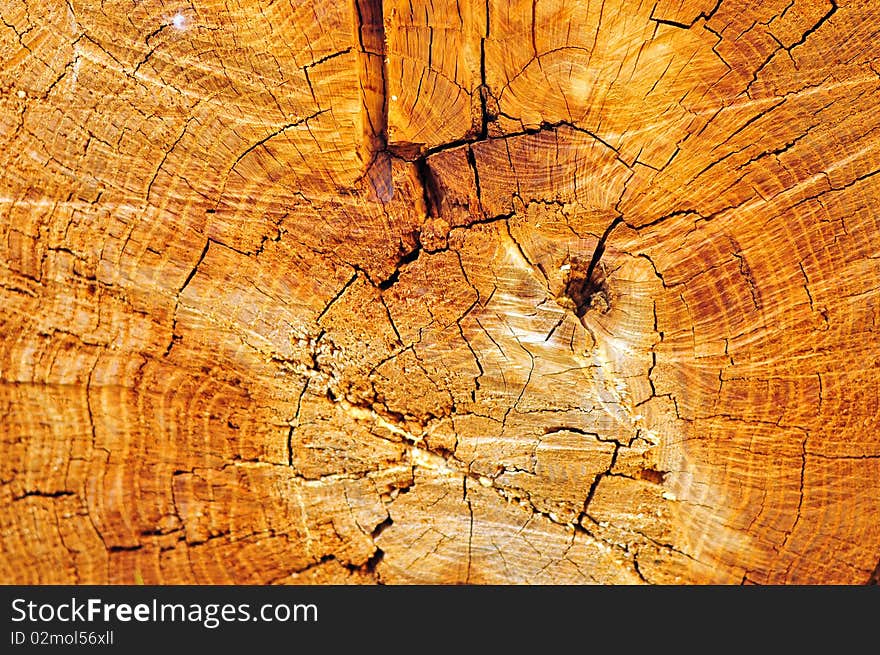 Abstract background. Old wooden texture.