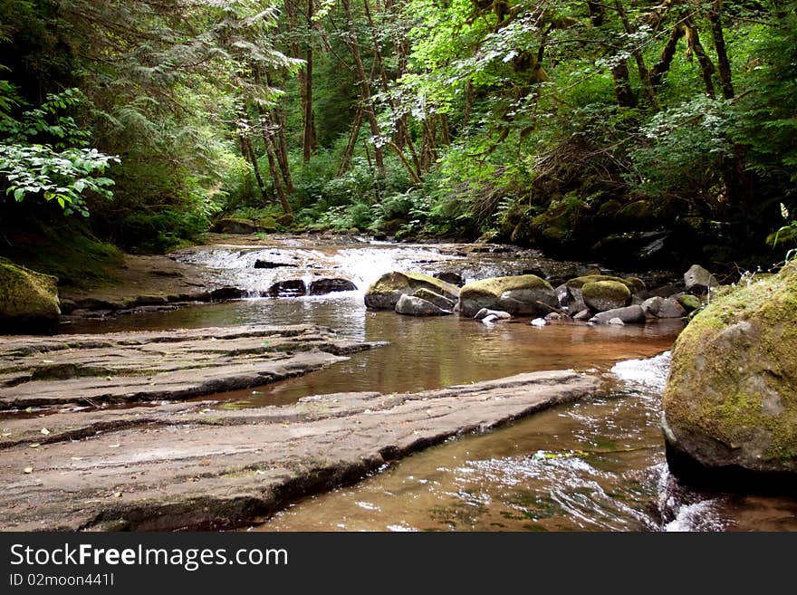 Sweet Creek Falls