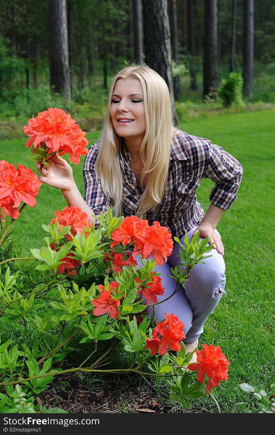 Beautiful gardener woman with red flower bush