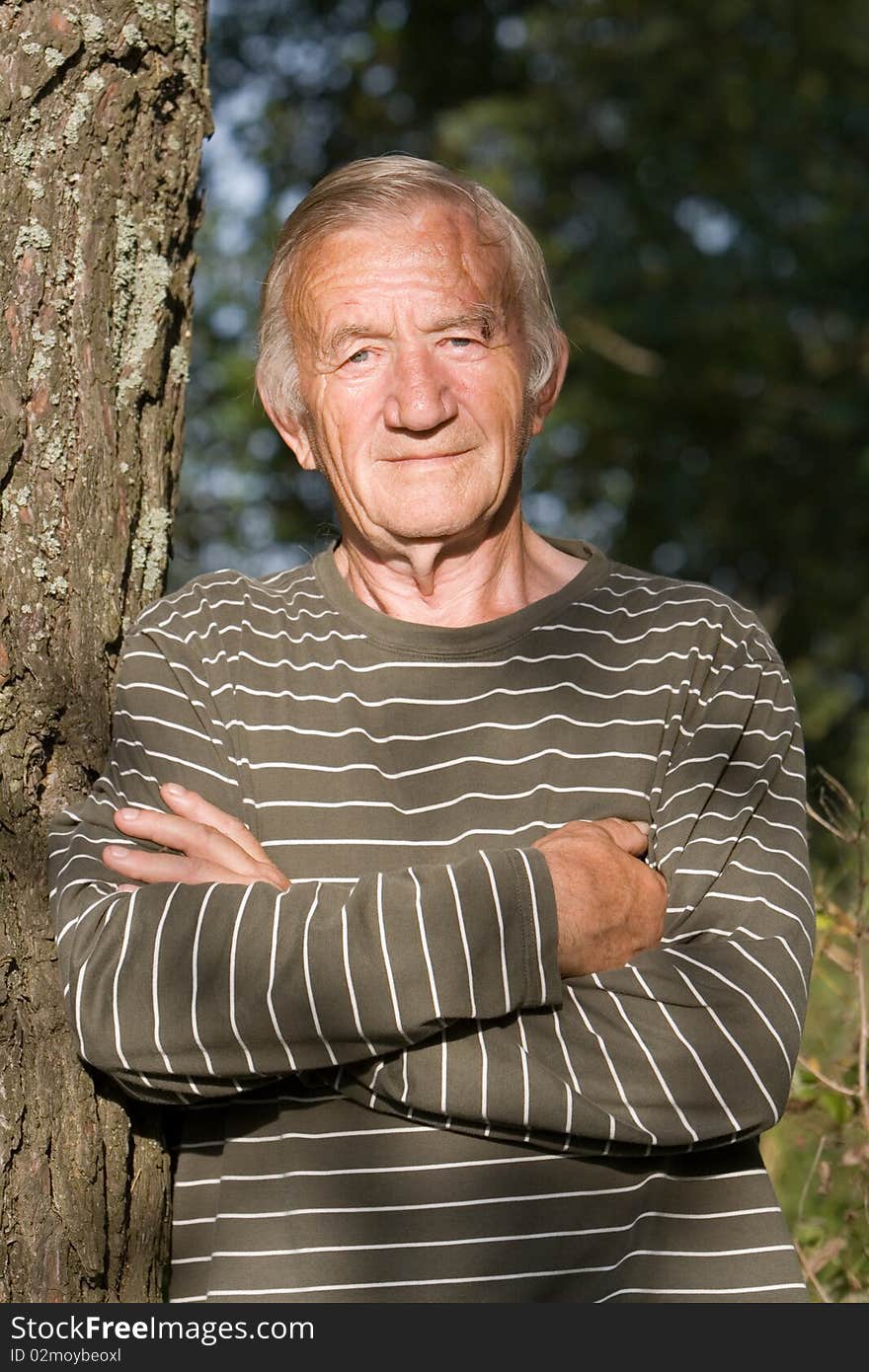 Portrait of the grey-haired elderly man in the summer in village on the nature. Portrait of the grey-haired elderly man in the summer in village on the nature