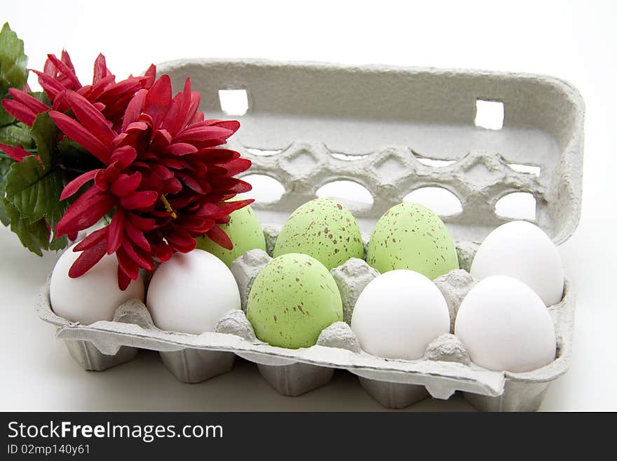 Eggs in the egg cardboard with flower blossom. Eggs in the egg cardboard with flower blossom