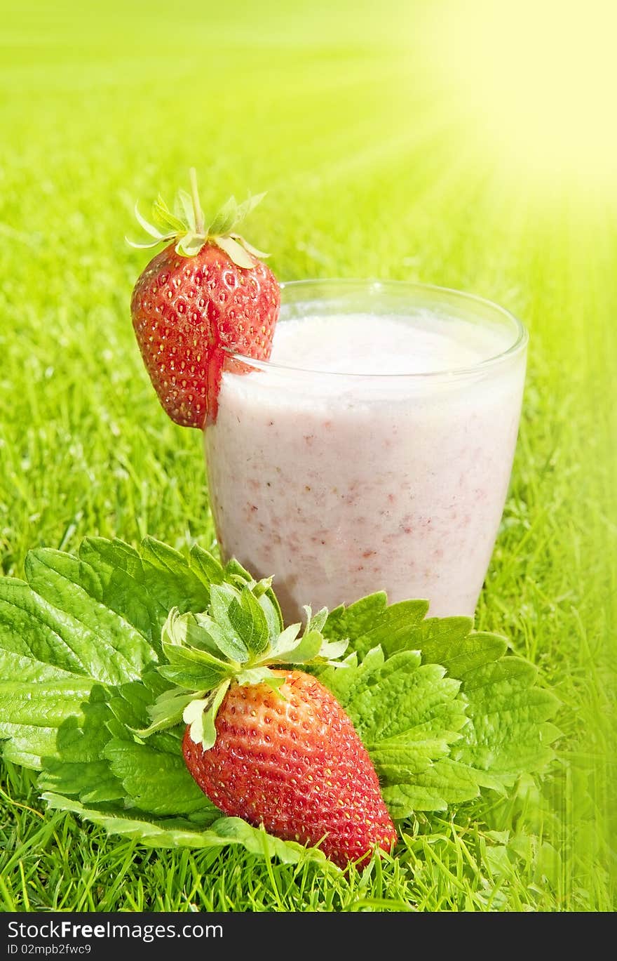 Strawberry milkshake with strwaberries in the garden