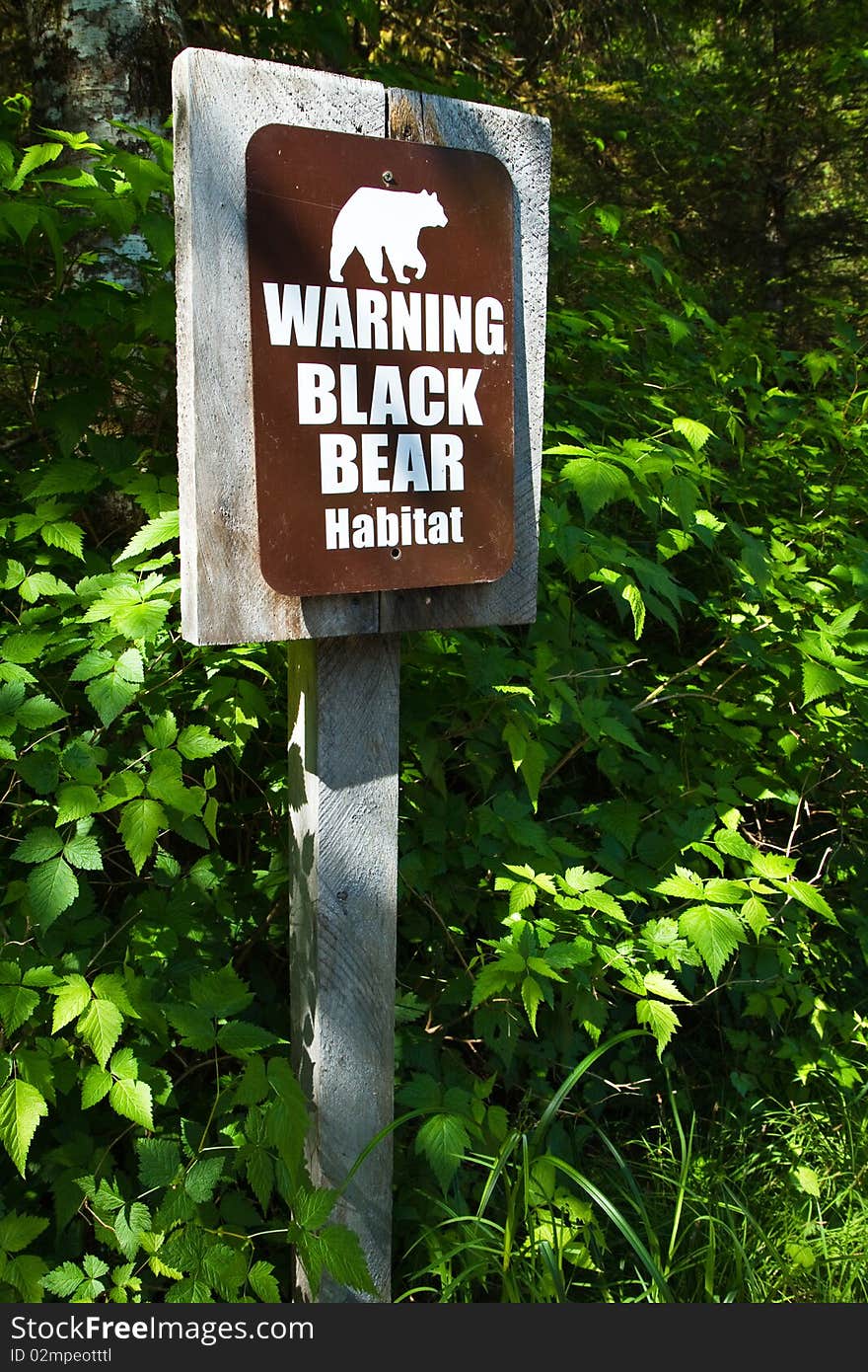 Sign warning hikers of black bears. Sign warning hikers of black bears.