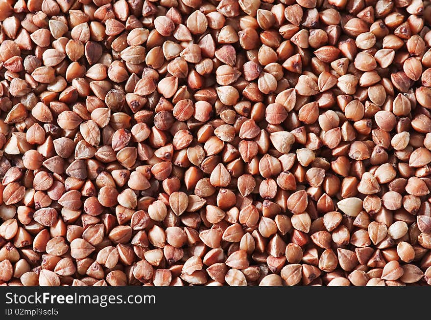 Buckwheat