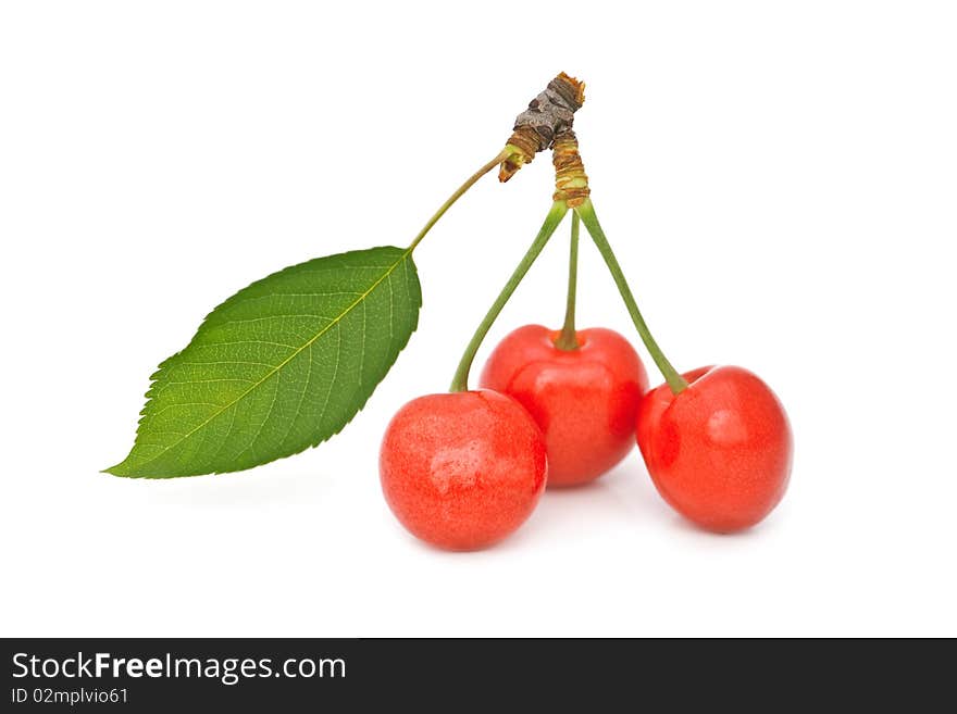 Ripe red cherry with leaf isolated