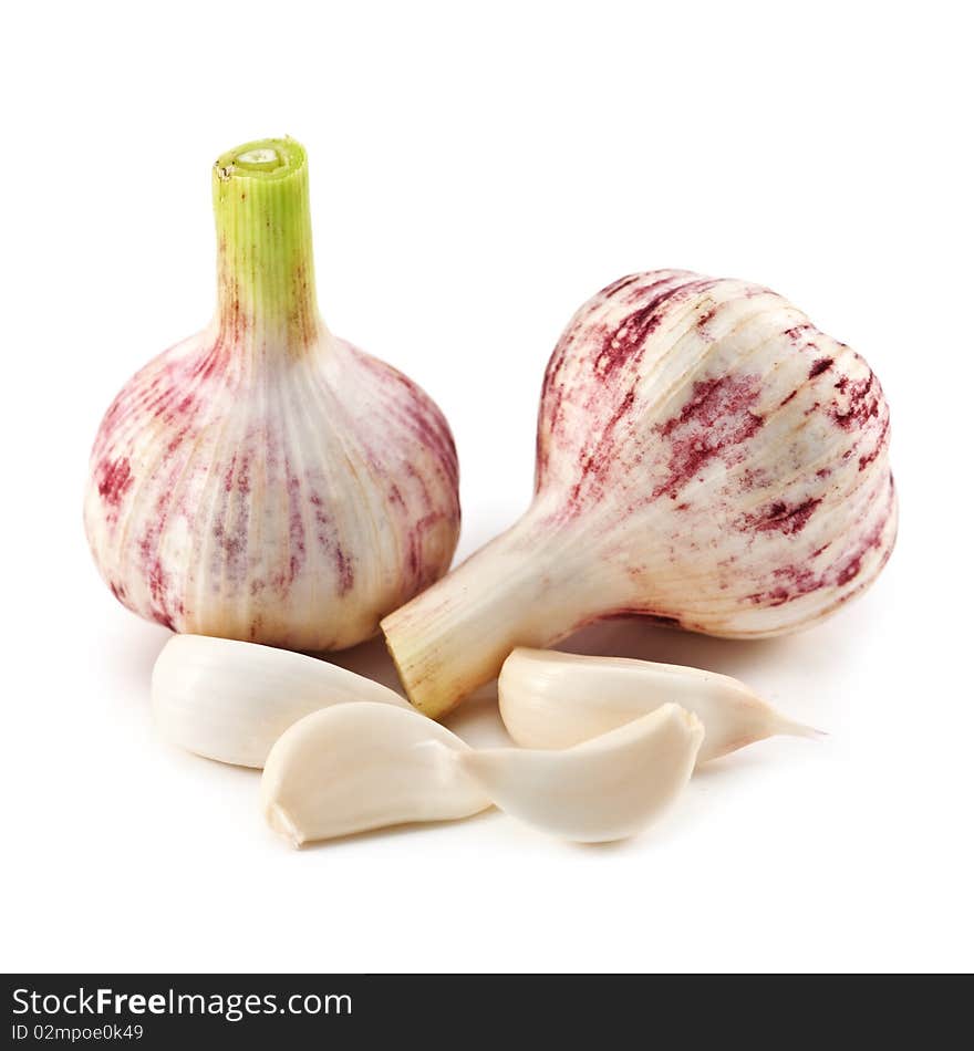 Garlic