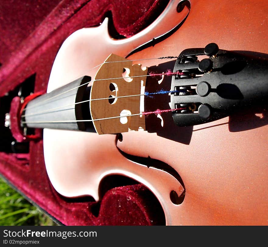 Violin