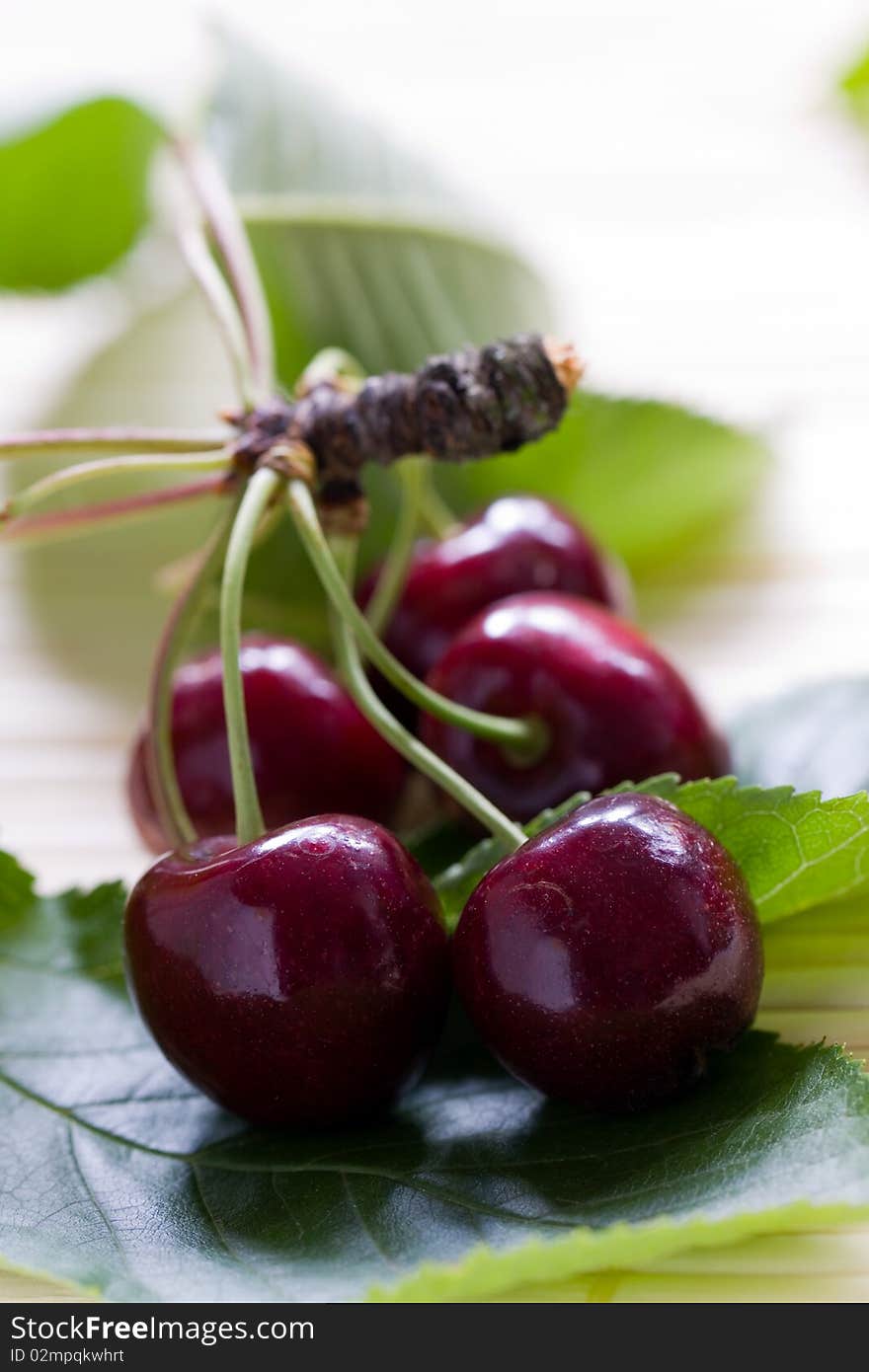 Cherries on cherry leaf background