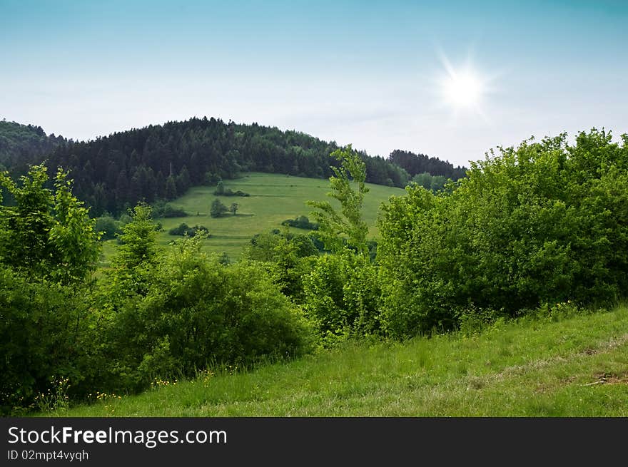 Mountain landscape in summer time