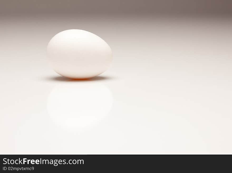 White Egg on Gradated Background