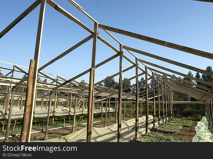 Wooden Greenhouse.