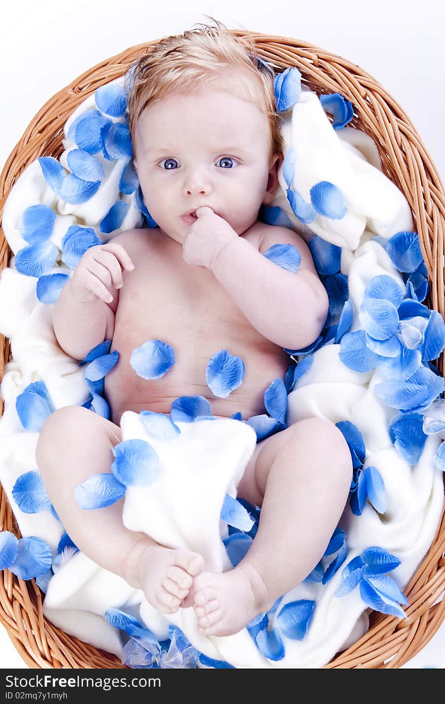 Baby boy with flower flakes on white background