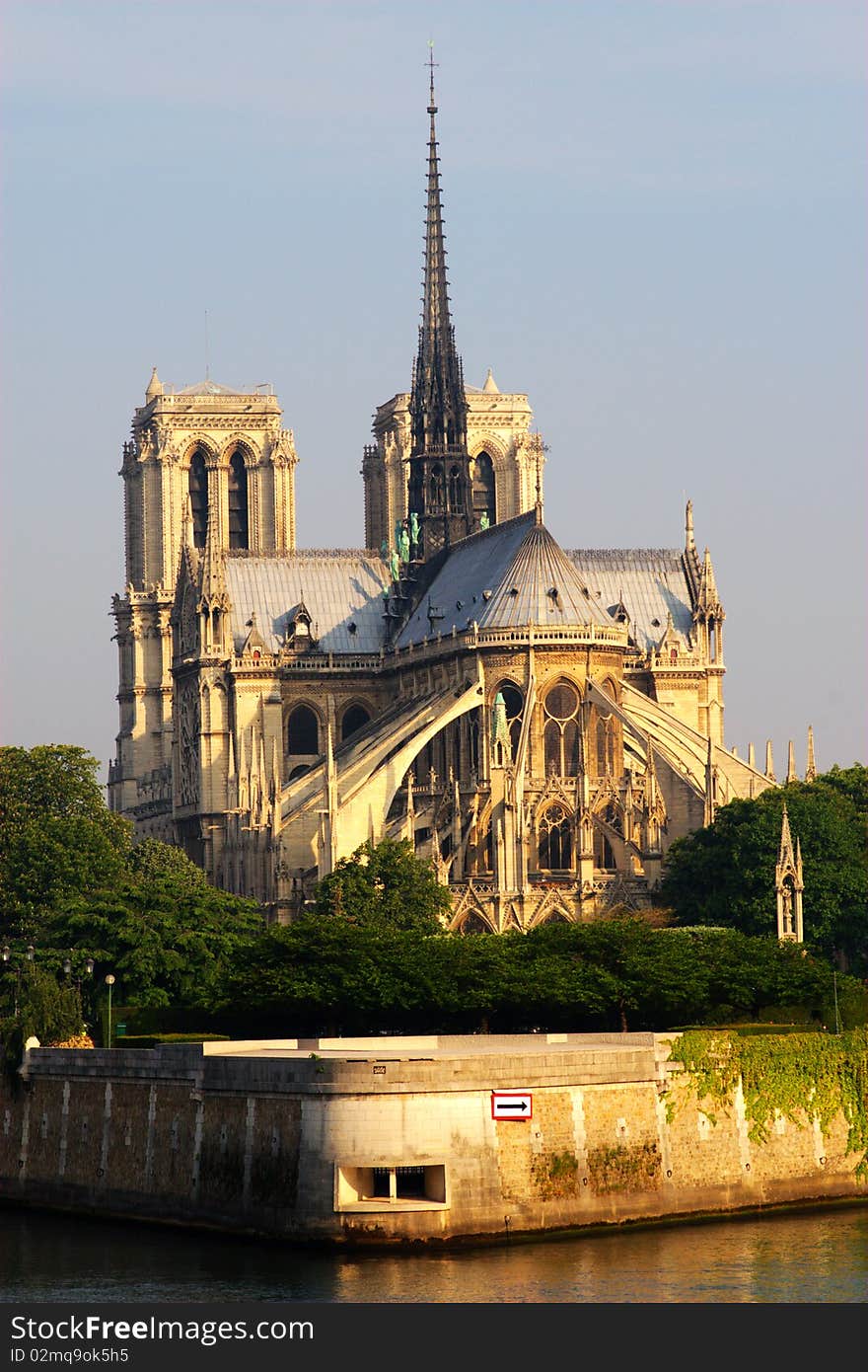 Notre Dame in the morning in paris