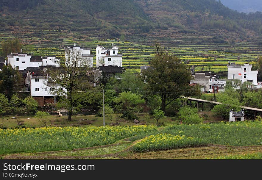 Chinese Style building in the village