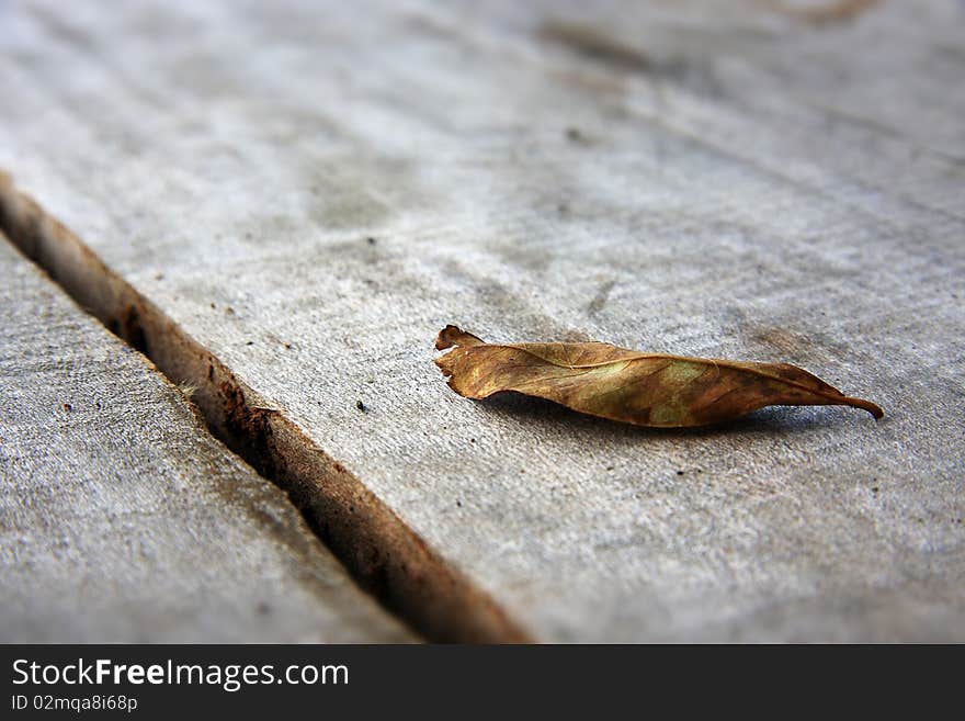 A dried leaf on an old wooden table outdoors. Focus is on the leaf with a blurred background. A dried leaf on an old wooden table outdoors. Focus is on the leaf with a blurred background.