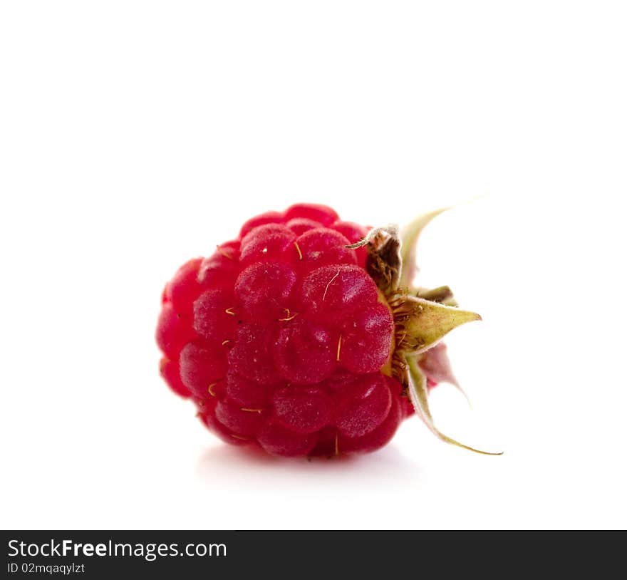 Raspberry on a white background