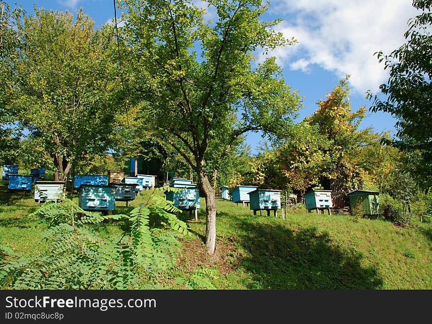 Beer a beehive in a summer green garden in a landscape with the dark blue sky. Beer a beehive in a summer green garden in a landscape with the dark blue sky.