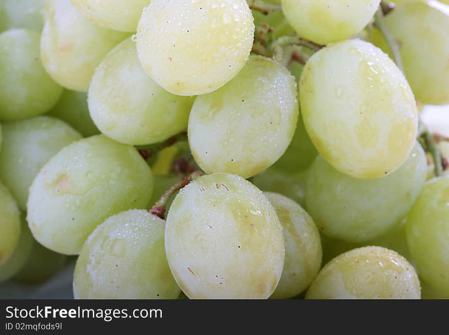 Cluster of ripe grapes with berries of green colour.