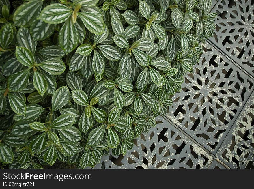 Floral pattern and metal ornament floor