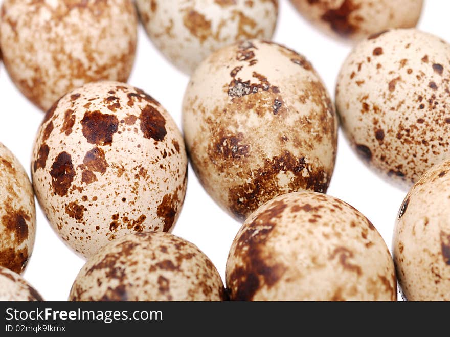 Photo of the quail egg isolated on white