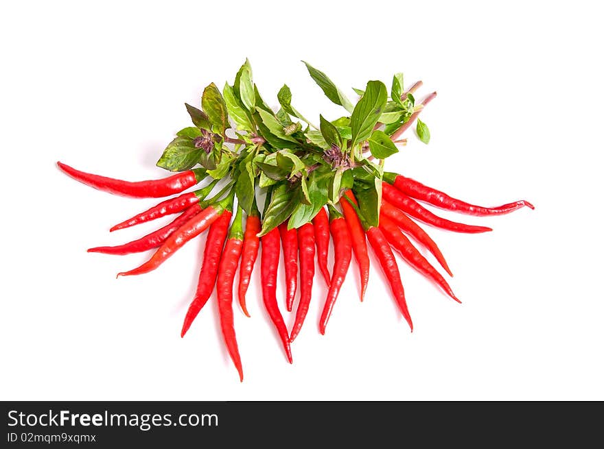 Green basil and red peppers on a white.