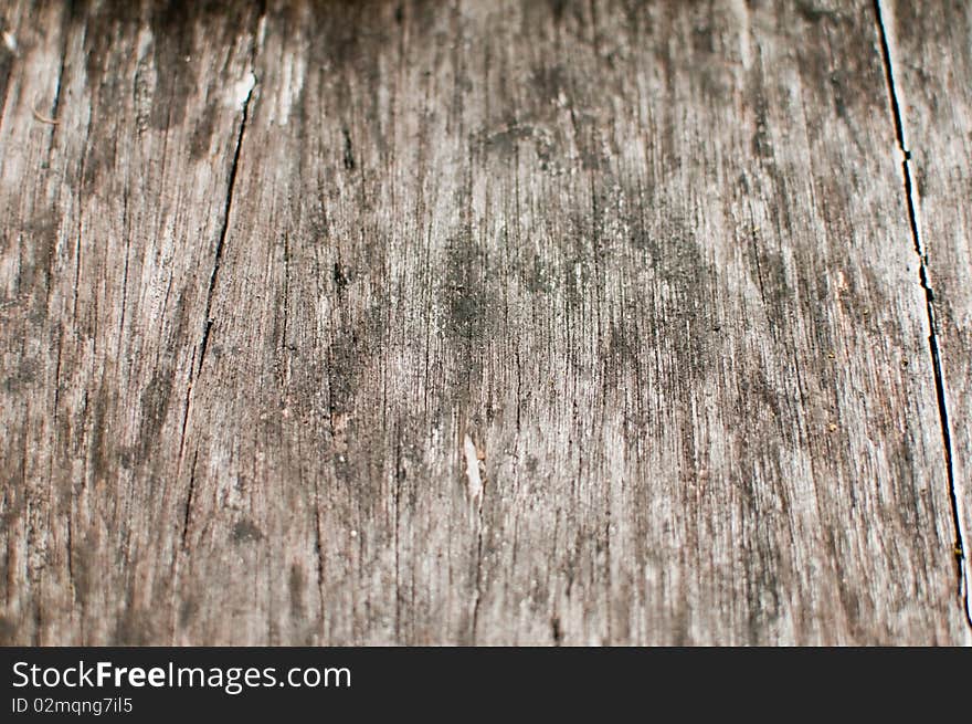 Old wood texture