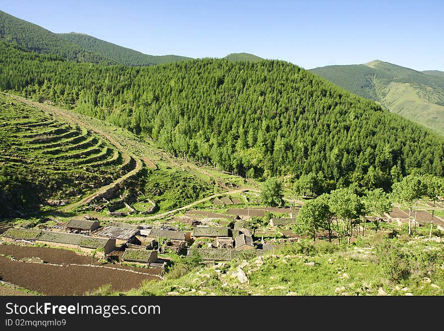 The summer scenery of Wutai Mountain, Shanxi, China. The village is called Tiewadian(iron tile hall). The summer scenery of Wutai Mountain, Shanxi, China. The village is called Tiewadian(iron tile hall).