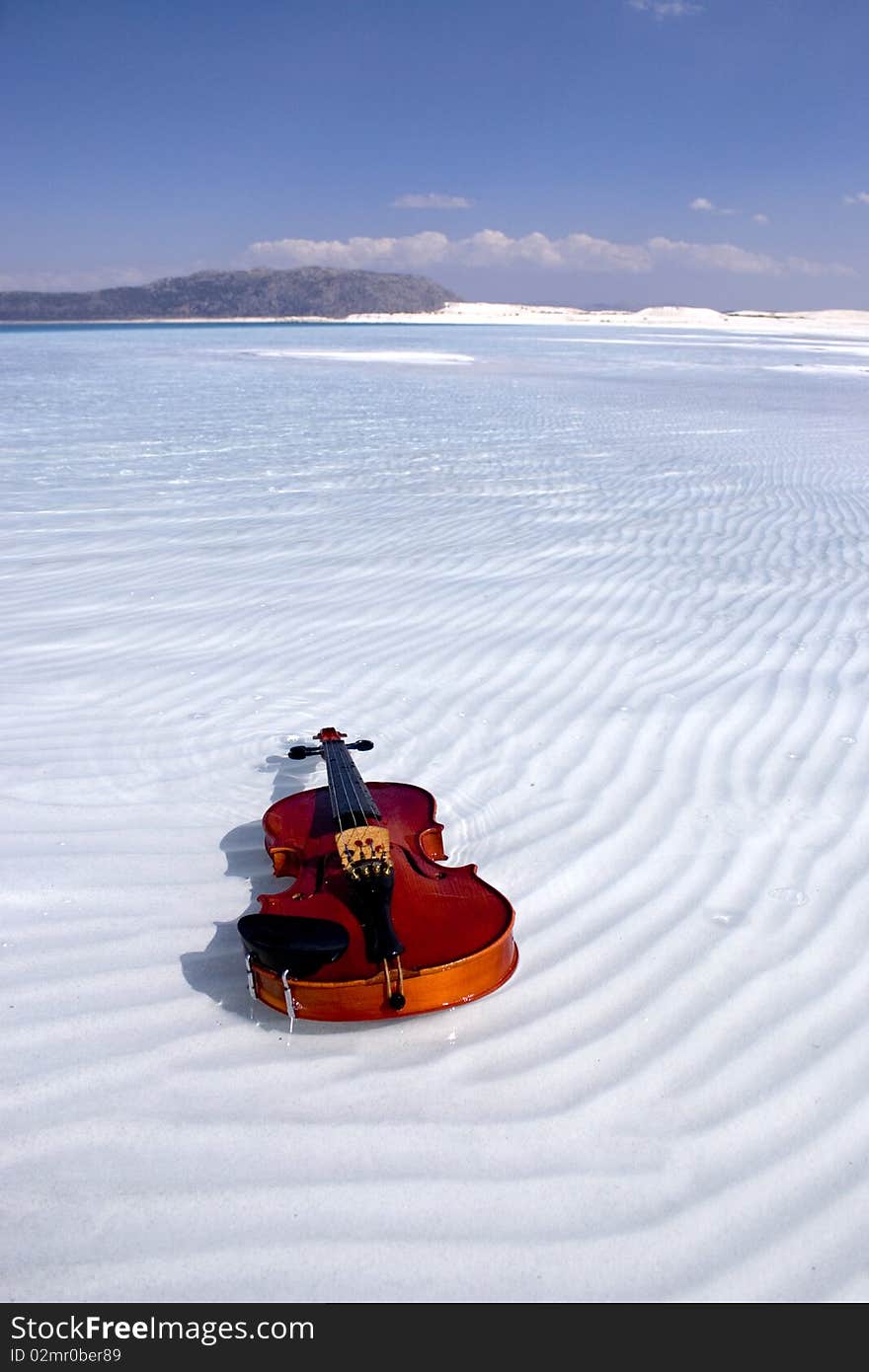 Violin in clean water.Clean lake..