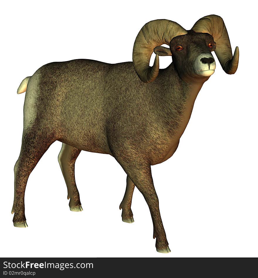 3d render a male horn sheep than illustration. 3d render a male horn sheep than illustration