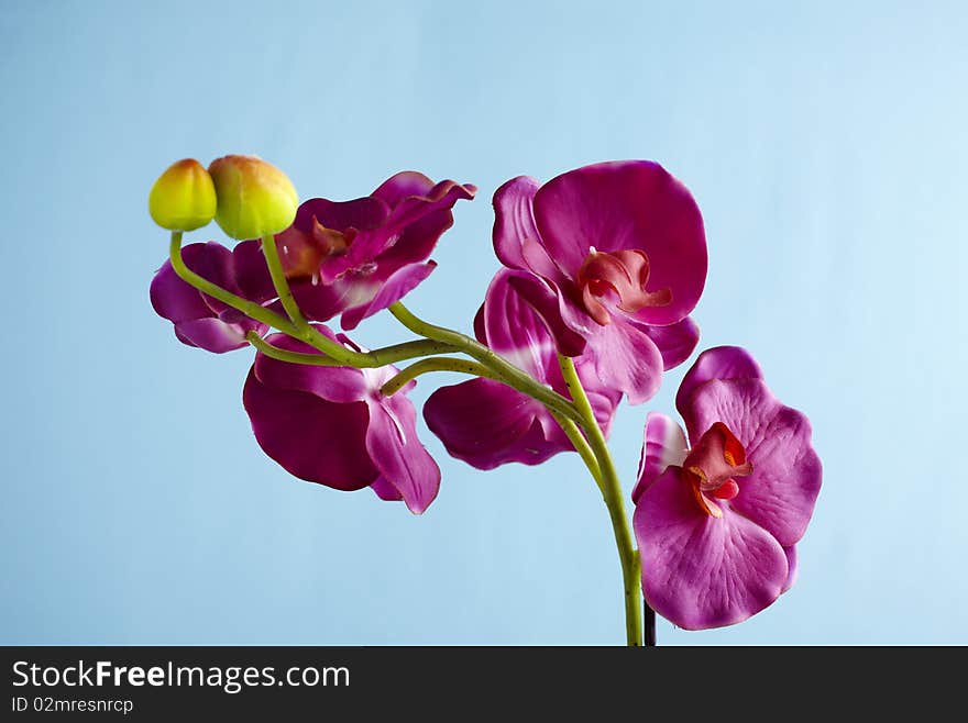 Under clean background artificial flower