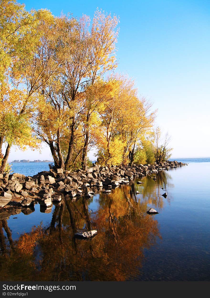 Autumn trees