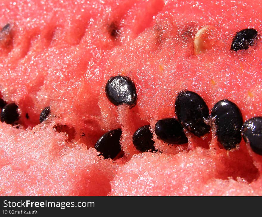 Fresh melon detail