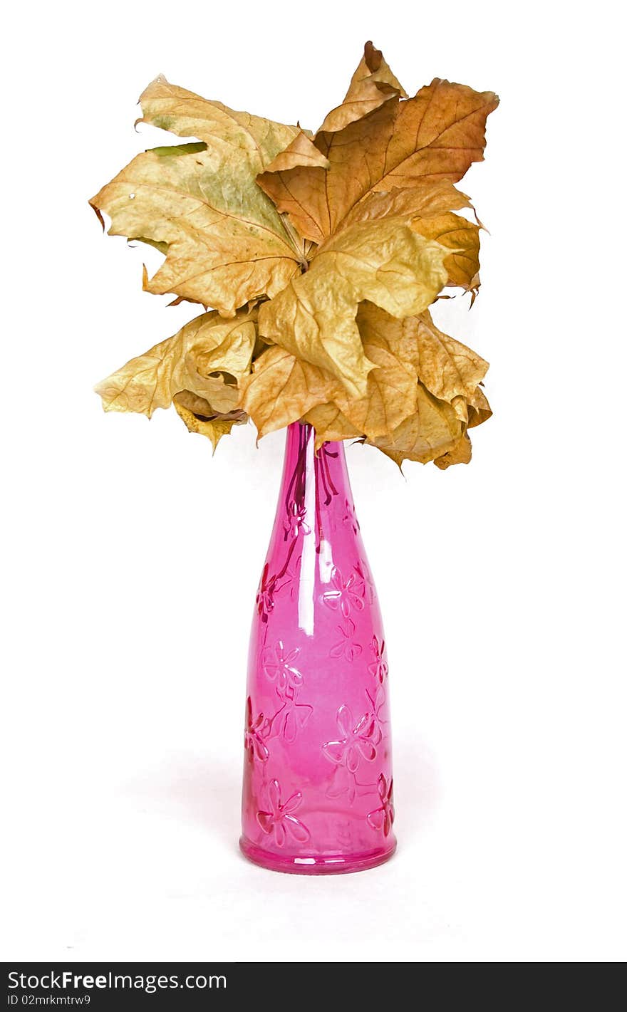 Pink design decorative bottle with wither maple leaves. Pink design decorative bottle with wither maple leaves